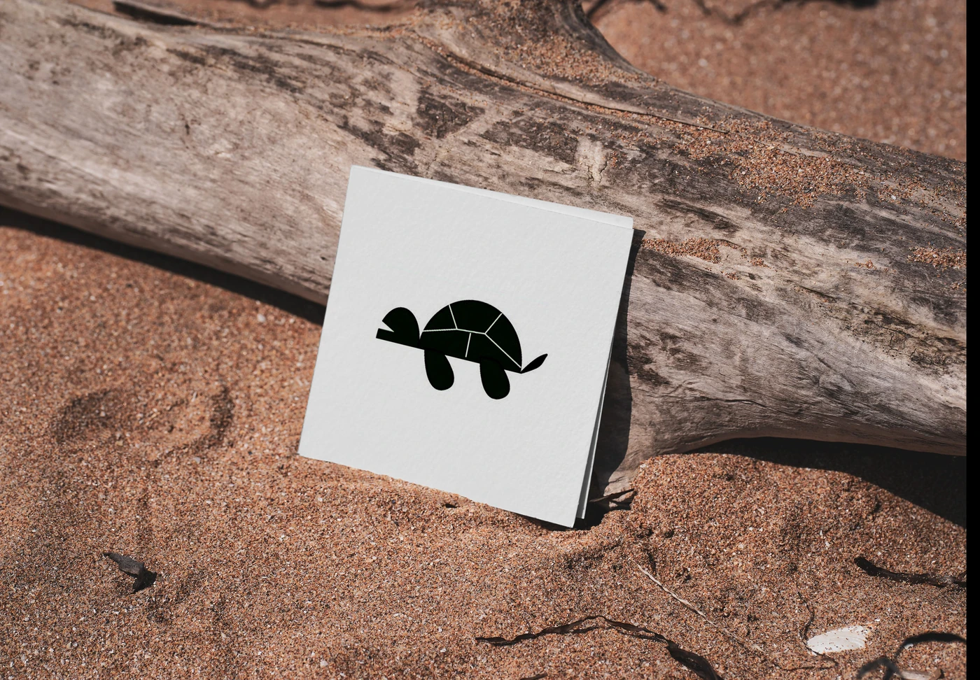 Logofolio cover: turtle mark on a card